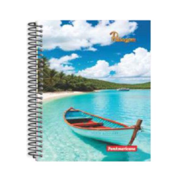 CADERNO ESPIRAL GRANDE 96FLS CAPA DURA PANAMERICANA